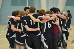 swifts1